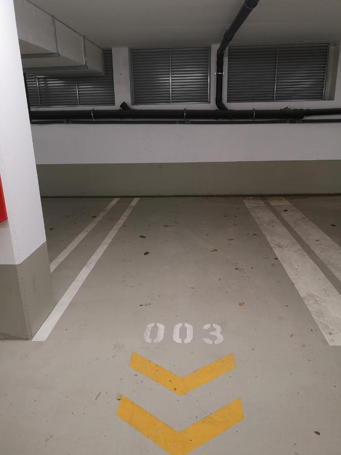 Rooftop Terrace, Free Garage Parking And Pool! Vienna Exterior photo